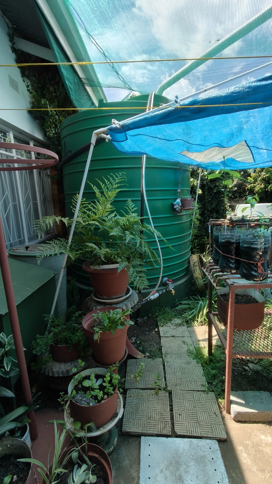 4 Bedroom Property for Sale in Ventersburg Free State